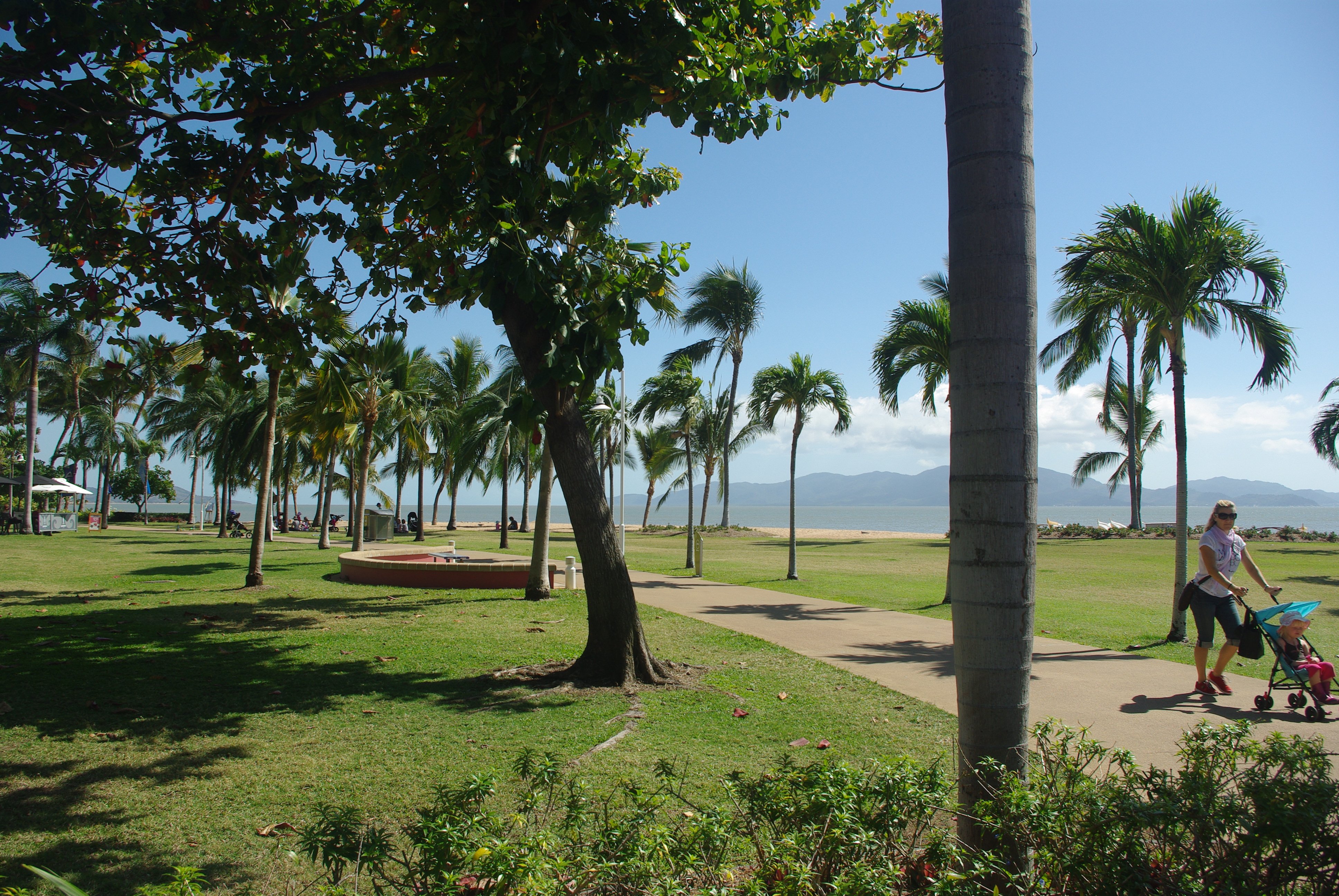 The 2.2 km long Strand Townsville with palm trees green grass and wide walkway is one of the best things to do in Townsville