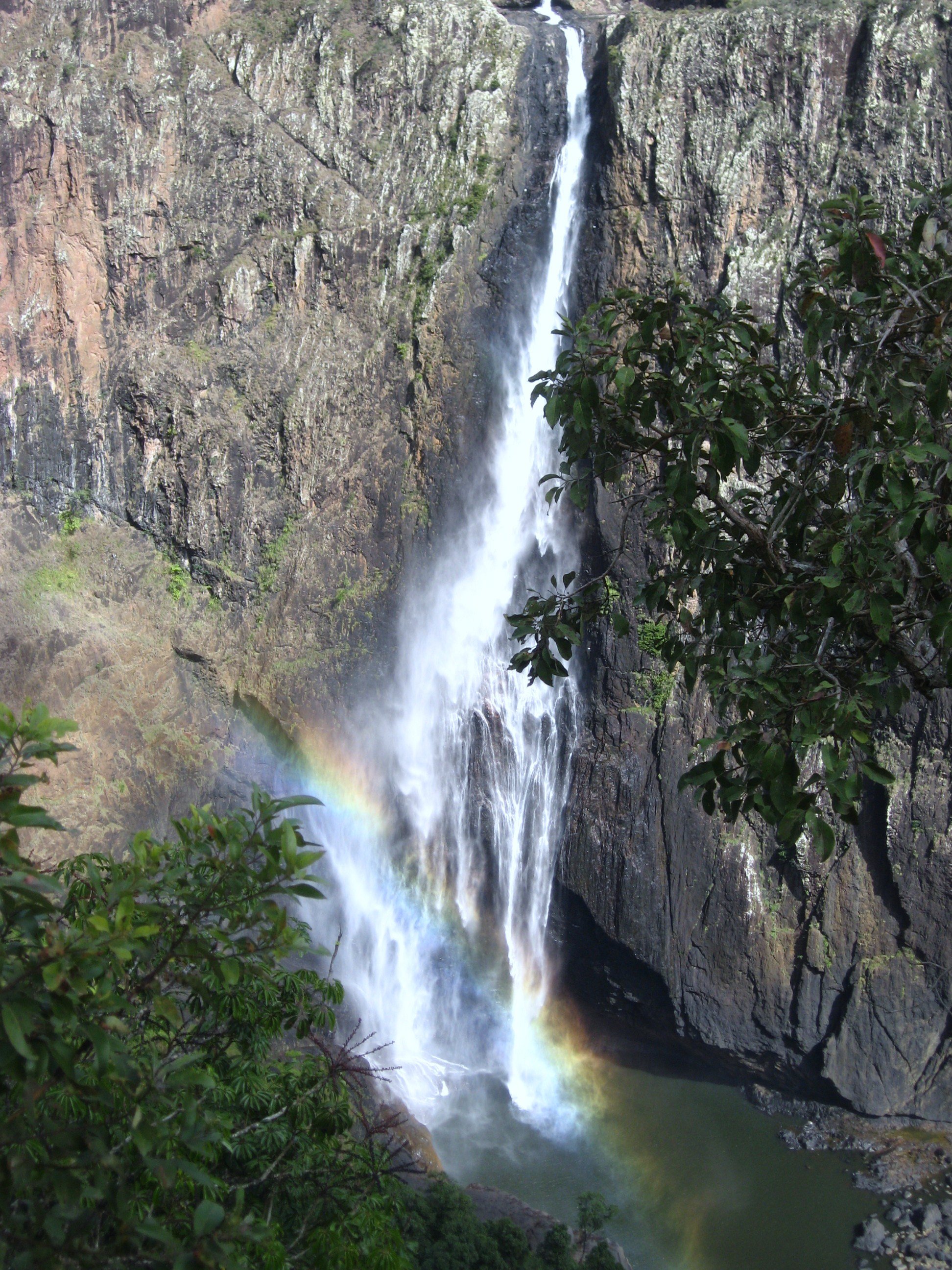 The highest permanent single drop waterfall in Australia