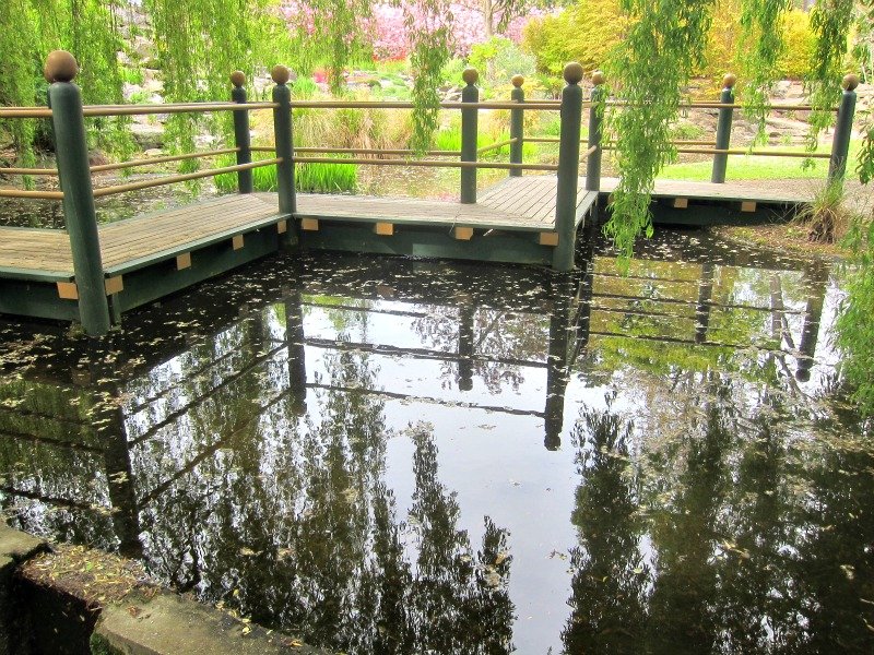 Reflection Pool - Oamaru
