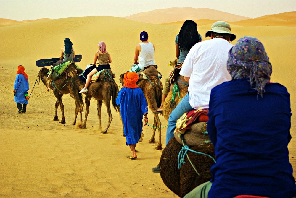 The camel drivers gave the word and one by one the camels rose.