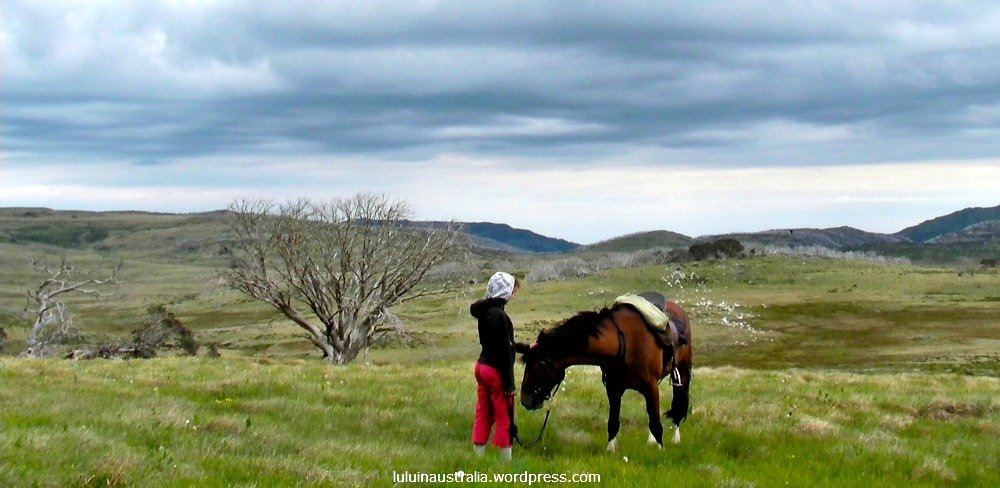 A Photo of Lucille and her horse Jed in the hills along the Murray River between Jingelic and Ournie.