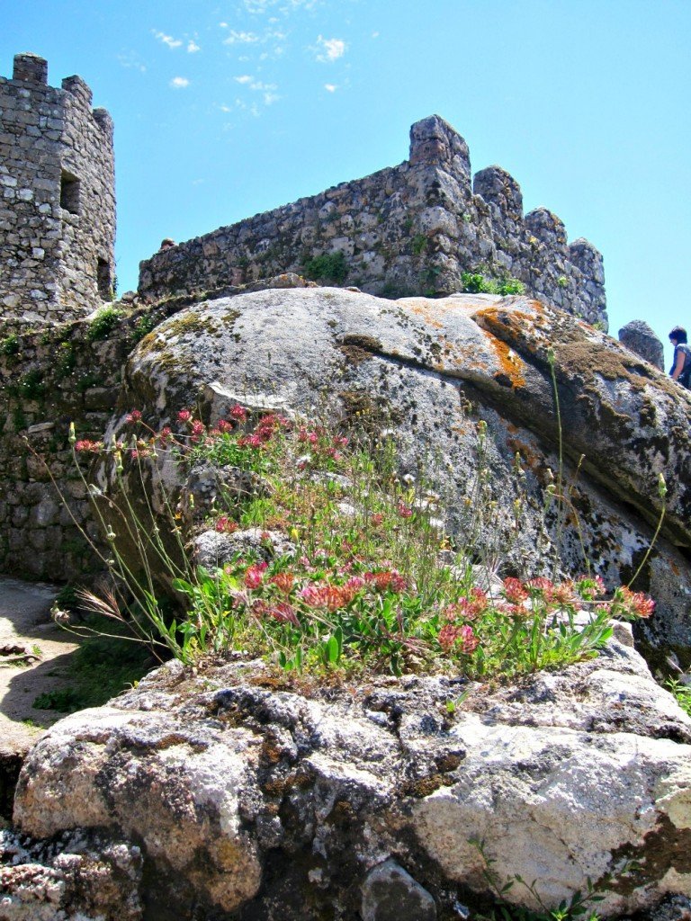 Castello Mouros - Flowers on the Walls
