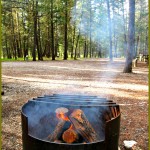 Fantastic Friday – Dry Gulch Provincial Park Campfire Heaven