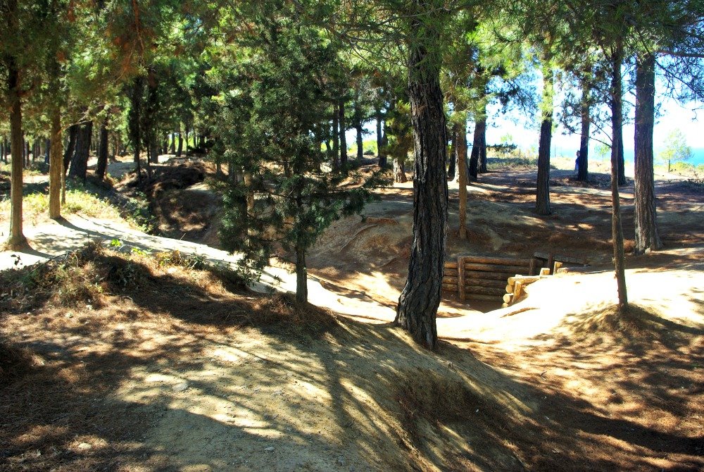 Gallipoli Trenches