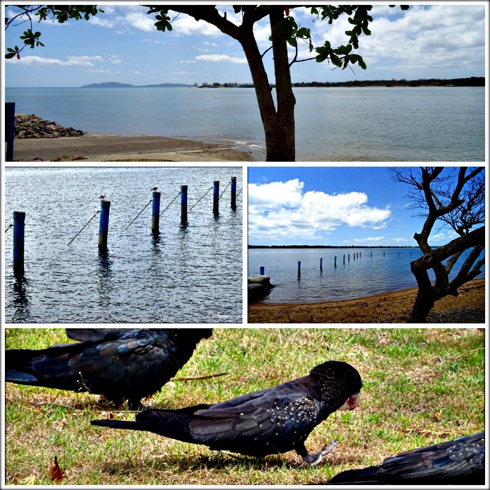 Taylors Beach Collage North Queensland