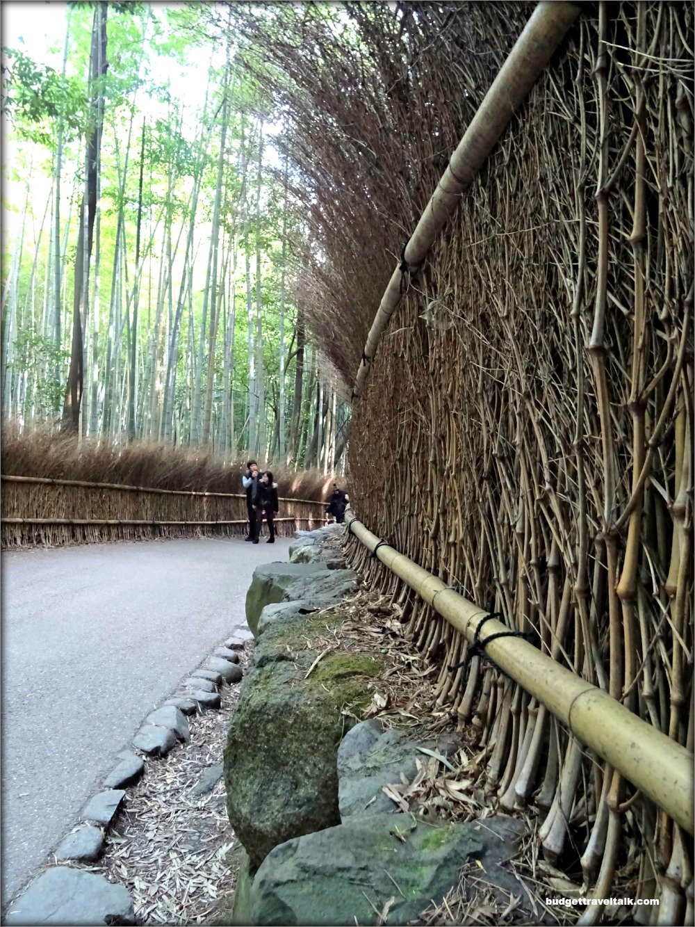 Arashiyama Bamboo Forest Fence