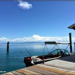 Pelorus Island and Orpheus Island Fishing Snorkelling Information