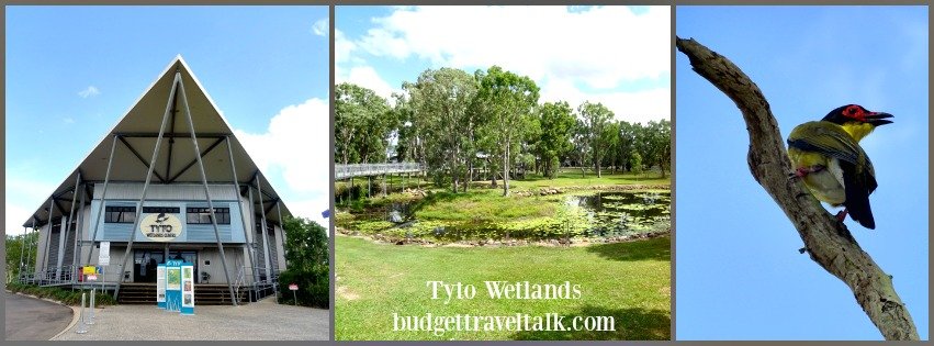 Tyto Wetlands in Ingham is a great place to visit from Townsville