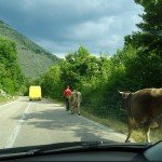Following the Yellow Bus to Trebinje BiH