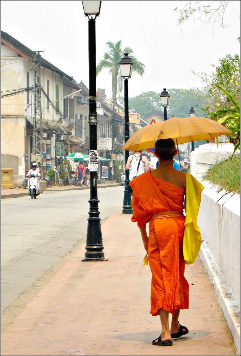 Luang Prabang Monk