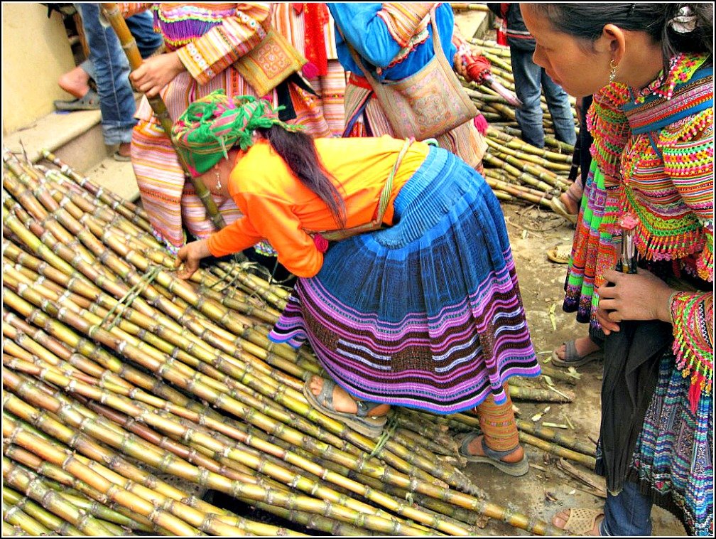 Sugar Cane Seller Bac Ha Vietnam