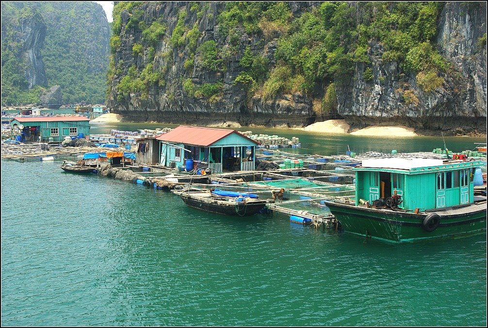 Lan Ha Bay Fishing Village Vietnam