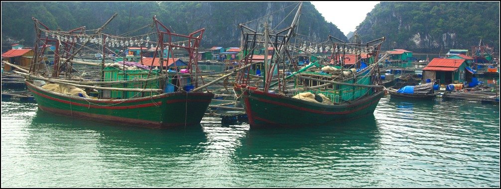 Squid fishing Boats Lan Ha Bay Vietnam