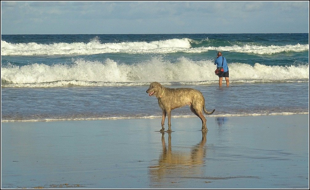 Stumers Dog and Fisherman