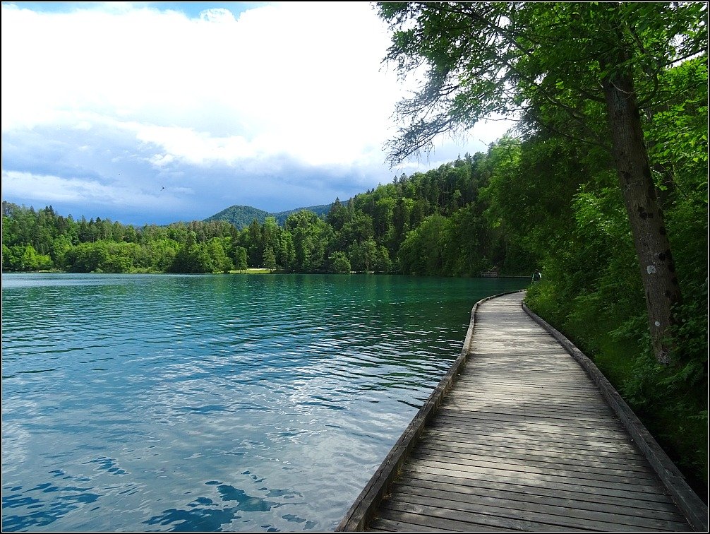 Bled Lake Walkway