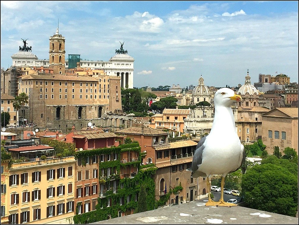 Palatine Il Vittoriano View, Rome