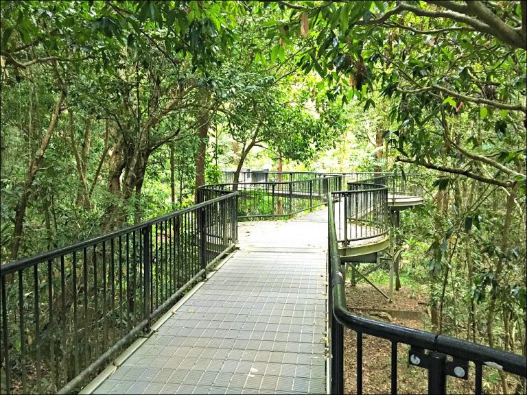 Mossman Gorge Walk Destination Guide | Budget Travel Talk
