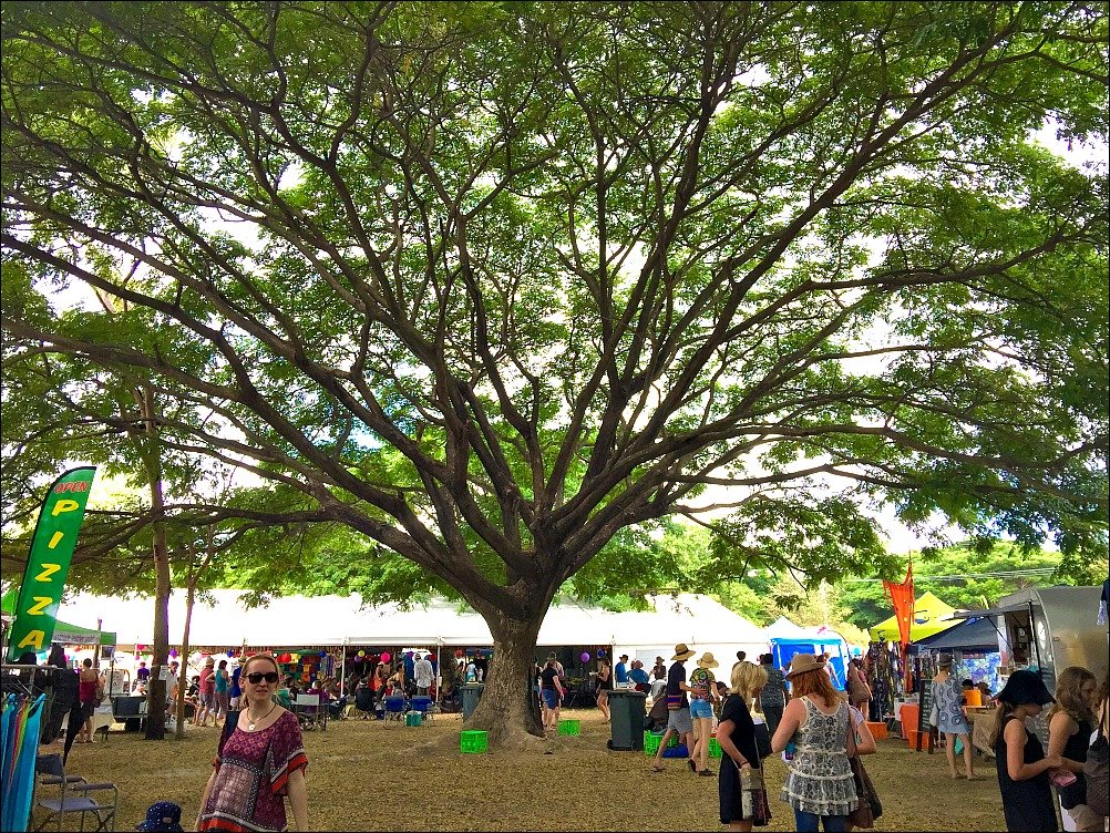 Palm Creek Folk Festival Beneath the Trees