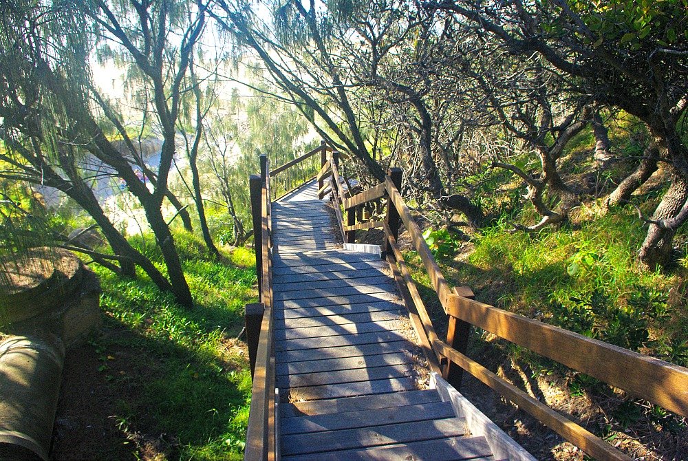 Noosa National Park Walk Sunshine Beach Steps