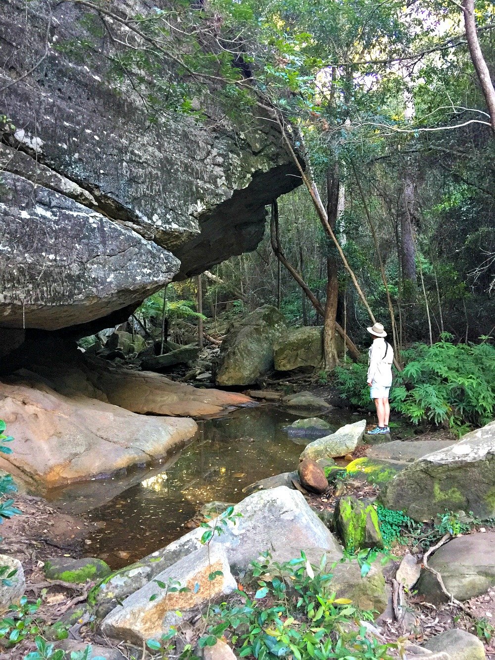 The Overhang Cania Gorge National Park