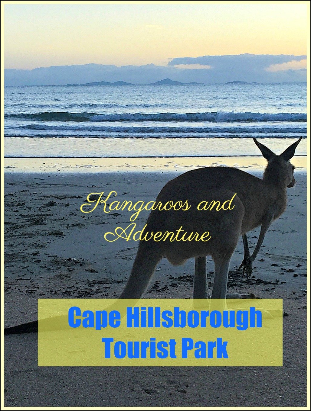 Cape Hillsborough Tourist Park