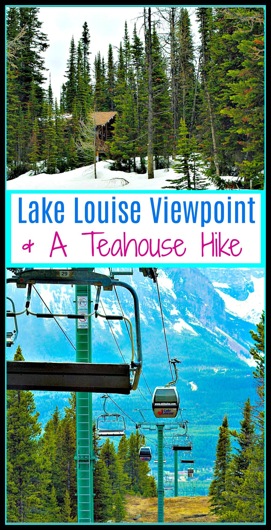 Lake Louise Viewpoint and a Teahouse Hike