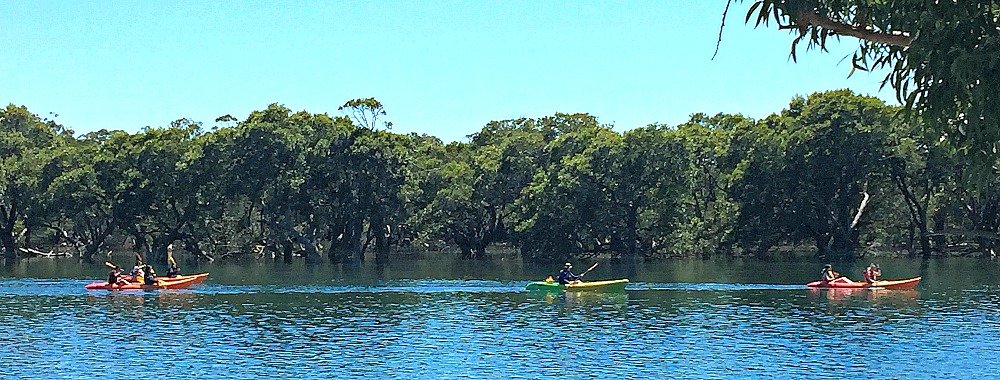 Kayaking on Currambene Creek Woollamia