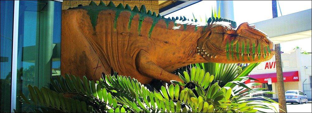 Visiting the Townsville Museum of Tropical Queensland is a fun thing to do with kids in Townsville