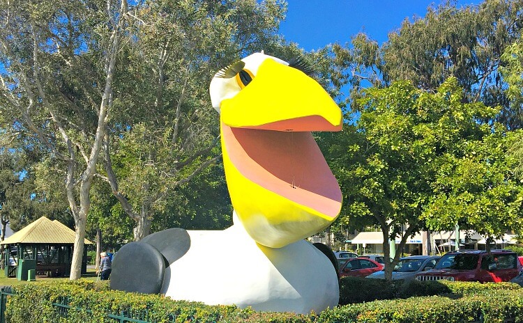 Big Pelican Statue in Pelican Beach Park Noosa