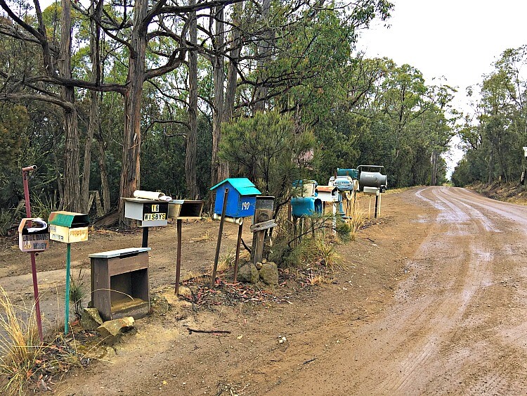 Letterboxes by the side of an unsealed North Bruny Island road