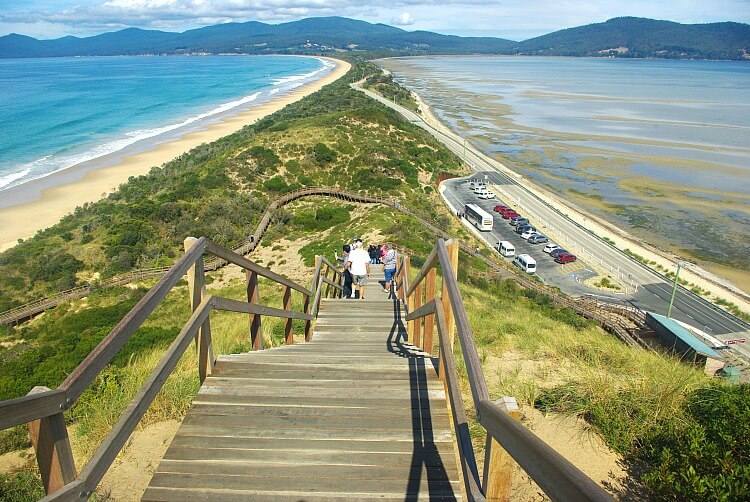 The view from the Neck Lookout showing the timber lookout stairs and Rookery walkway 