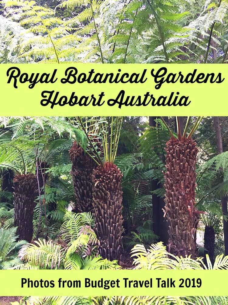 Botanic Gardens Hobart Pin
