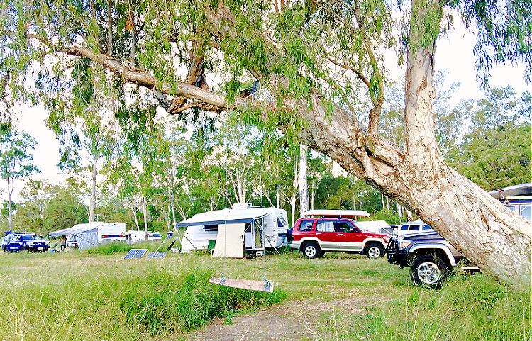 Tree Swing and Caravans at Bruce Highway Free Camp