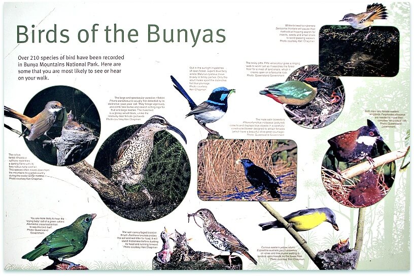 Information Board displaying birds of the Bunyas