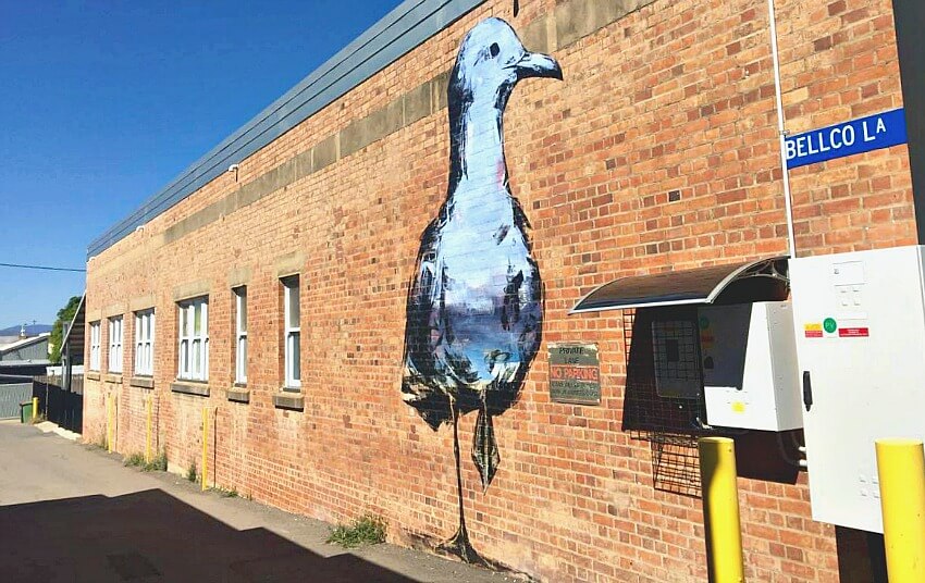 James Giddy Seagull Mural in Townsville Lane