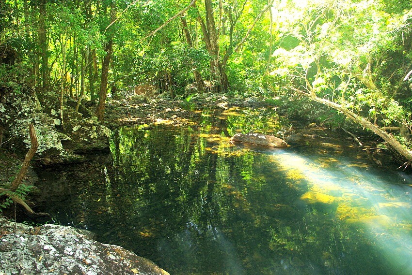 Turquoise Water surrounded by trees at Dead Horse Creek Second Pool