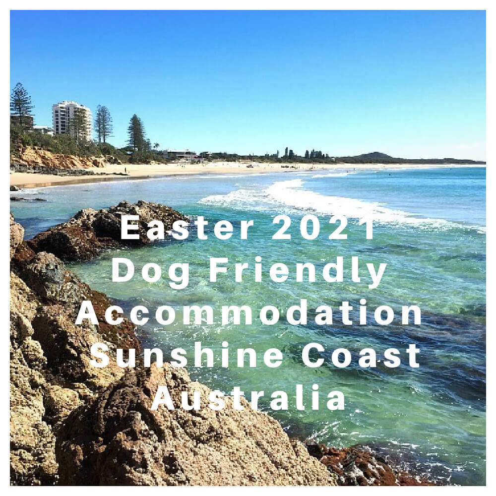 Rocky Headland on the Sunshine Coast showing Dog Friendly Accommodation Sunshine Coast for Easter 2021