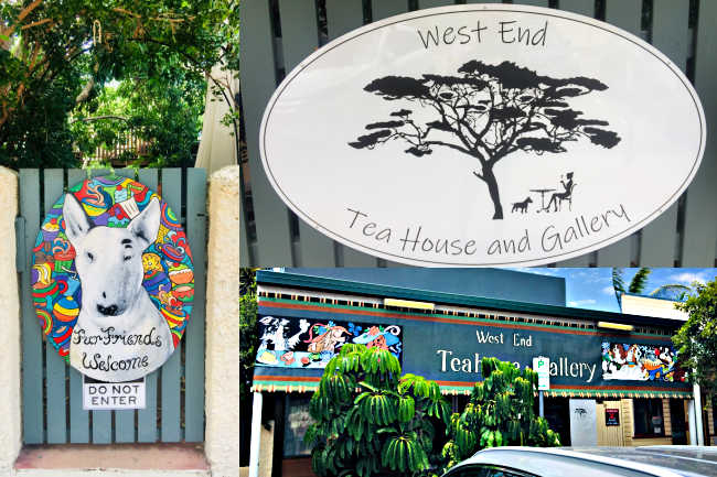 Collage of West End Tea House a dog friendly cafe Townsville
